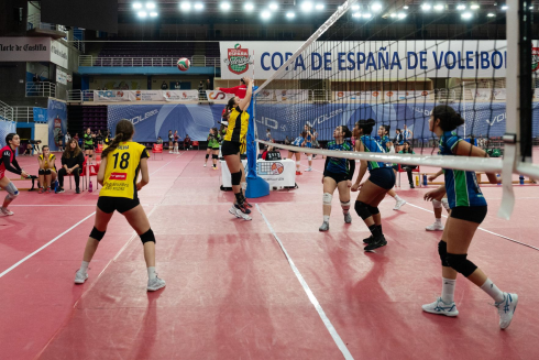 Voleibol